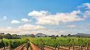 Napa to Sonoma - Luxury Food & Wine Bike Tour
