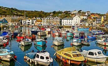 Cornwall bicycle tour. Nick Fewings@unsplash
