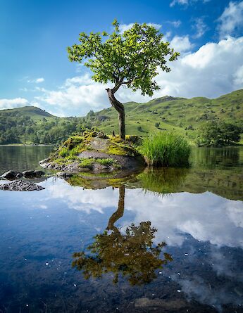 Nature's beauty in Rydal Water. JonnyGios@unsplash