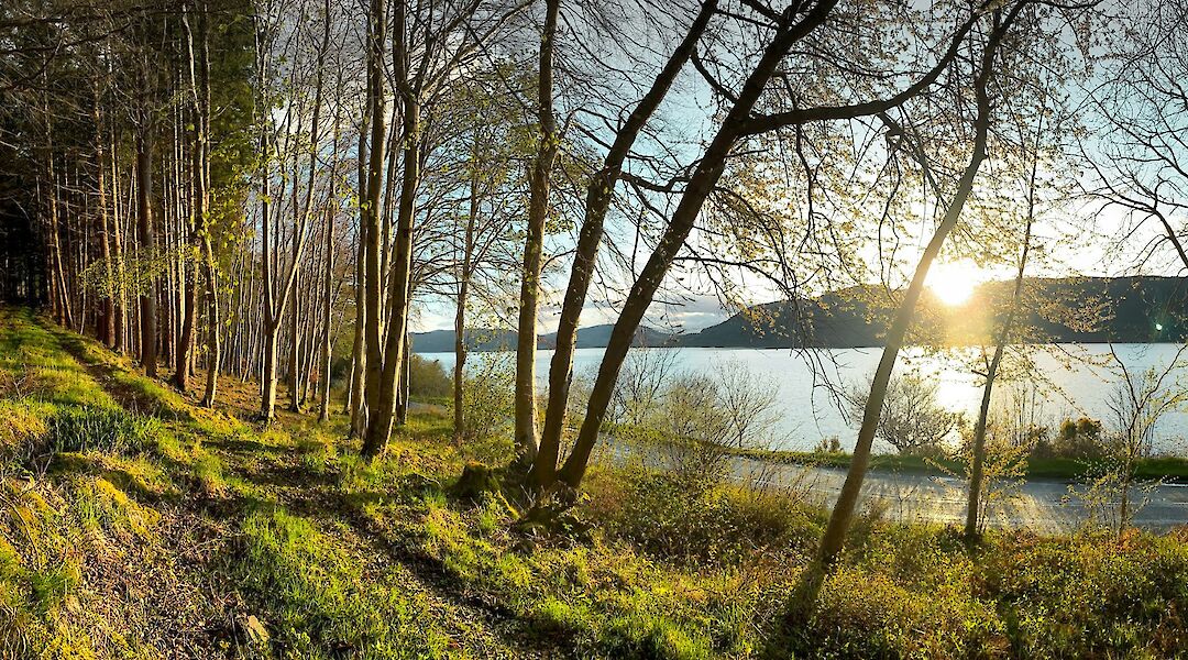 Lochside trail at sunrise. Ben Wicks@unsplash
