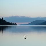 Loch Ness at sunset. Qzheng W@unsplash