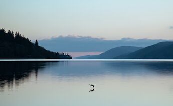 Loch Ness at sunset. Qzheng W@unsplash