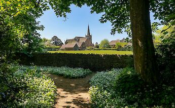 Wild Garlic Path to a Cotswold Church in Burford. BobJenkin@pexels