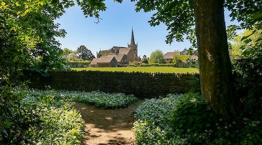 Wild Garlic Path to a Cotswold Church in Burford. BobJenkin@pexels