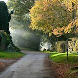 A peaceful Cotswold lane. Colin Watts@unsplash
