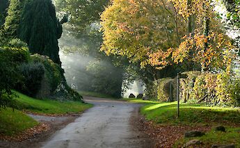 A peaceful Cotswold lane. Colin Watts@unsplash
