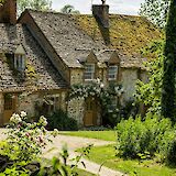 A classic English cottage with moss-covered roof. HugoKruip@unsplash
