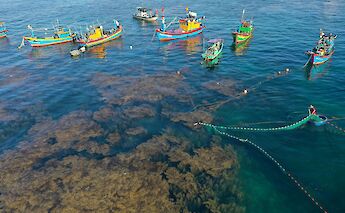 Colorful coastal fishing boats. TriNguyen@pexels