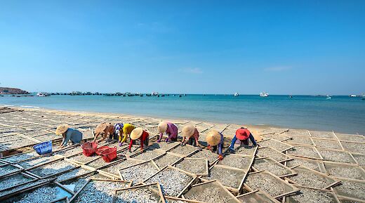 Drying anchovies on the beach. Quang-nguyen-vinh@pexels