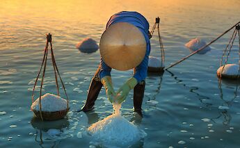 Worker harvesting sea salt by hand at sunrise. quang nguyen vinh@pexels