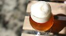 Boise Craft Beer Bike Tour