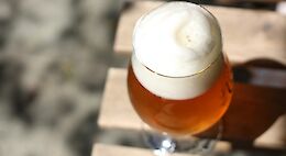 Boise Craft Beer Bike Tour