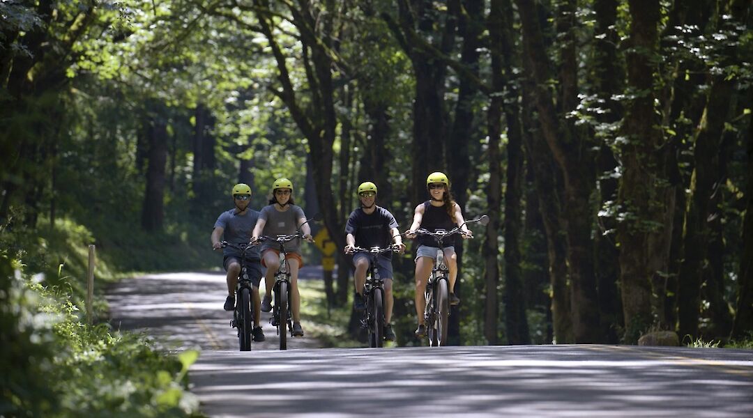 Cycling through the trees, Multnomah Falls, Oregon, USA. CC:Ebike Multnomah Falls