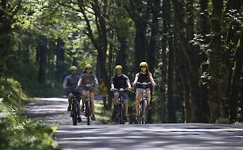 Cycling through the trees, Multnomah Falls, Oregon, USA. CC:Ebike Multnomah Falls