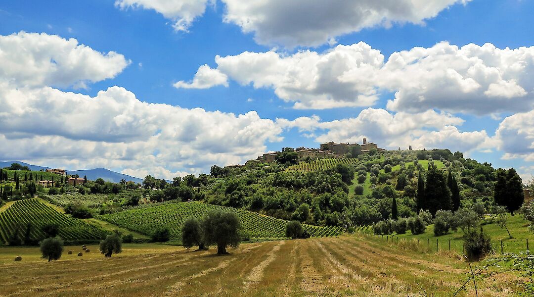 Rural southern Tuscany. c-toIH