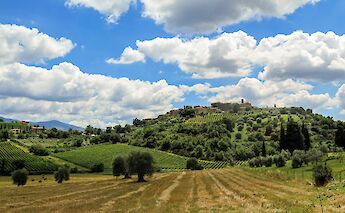 Rural southern Tuscany. c-toIH