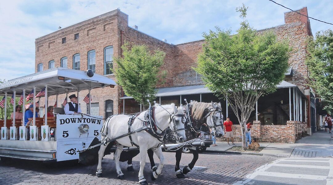Horse-drawn carriage, Wilmington, North Carolina. USA. Unsplash@Wentao Liu