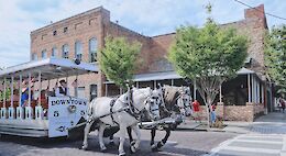 Wilmington History, Haunts & Breweries E-Bike Tour