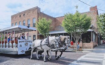Horse-drawn carriage, Wilmington, North Carolina. USA. Unsplash@Wentao Liu