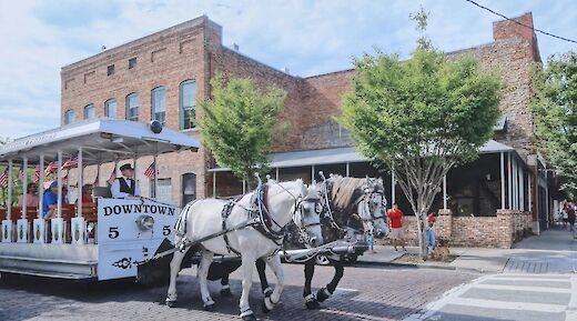 Wilmington History, Haunts & Breweries E-Bike Tour, Wilmington, NC