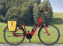 A red electrically-assisted bike with a yellow saddlebag and handlebar bag, set in front of a grassy field and trees.