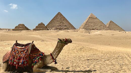 Egypt bicycle tours. MarinaMay@unsplash