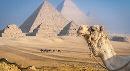 Ancient Egypt - E-Bike and Sail the Nile