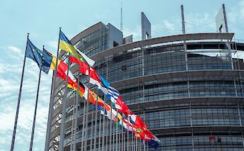 European Parliament, Strasbourg bike tour, France. Lukas S@Unsplash