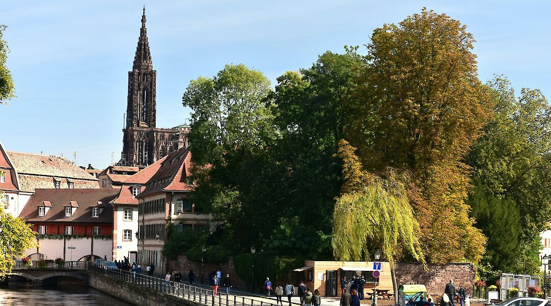 Lush foliage by the canal, Strasbourg bike tour, France. Daniele La Rosa Messina