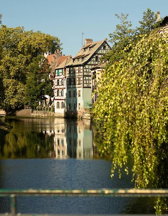 Trees in leaf by the canal, Strasbourg bike tour, France. Maiwenn Le V'Ourch@Unsplash