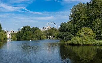 View of the London Eye from St. James' Park. Antonio Vivace@Unsplash