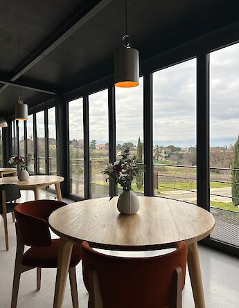 Vineyard views from a boutique hotel. toST