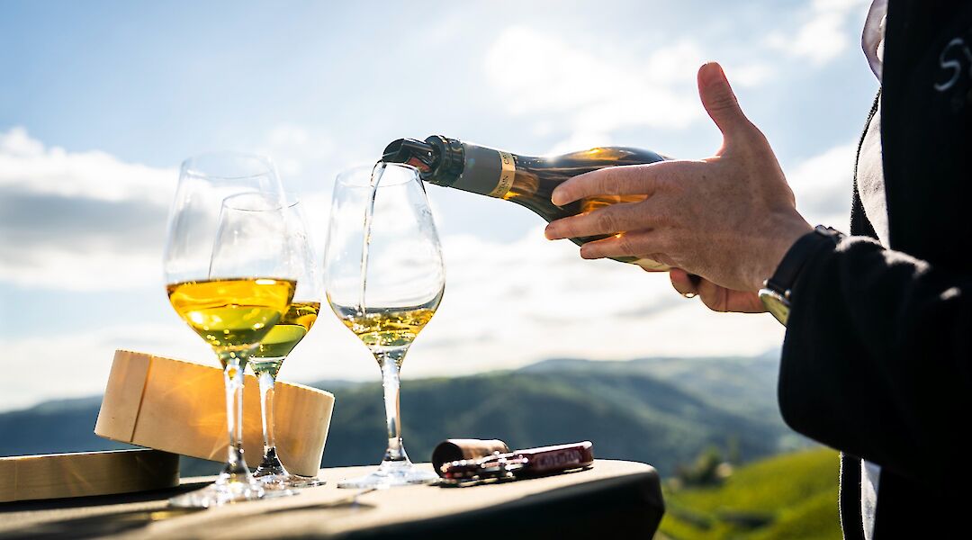 Wine tasting overlooking the Rhône Valley vineyards. toST