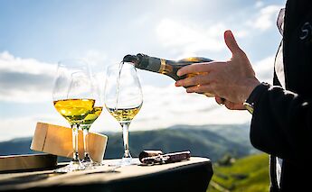 Wine tasting overlooking the Rh&ocirc;ne Valley vineyards. toST