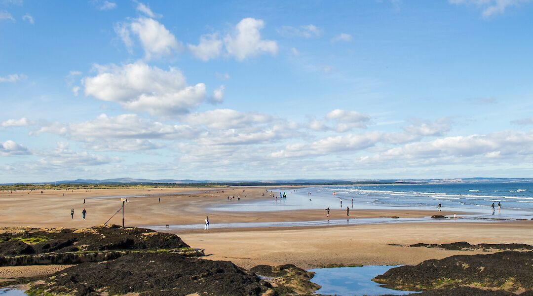 Walkers on the beach, St Andrews. Unsplash@Kirsten Drew