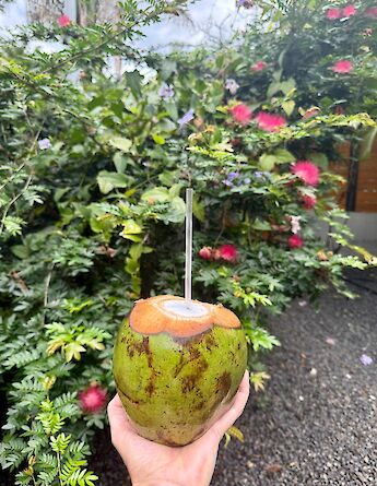 Chilled coconut water straight from the palm. cc-Heather