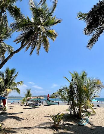 Palm-lined white sands of beautiful Sámara beach. cc-heather
