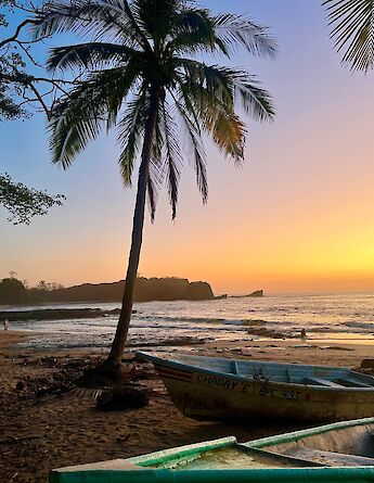 Fishing boats and palms at sunset in Playa Pelada. cc-Heather