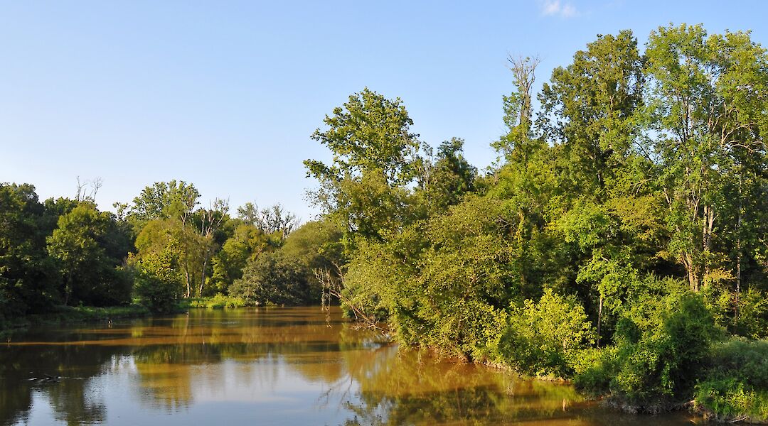Neuse River Greenway, Raleigh. Flickr@James Willamor