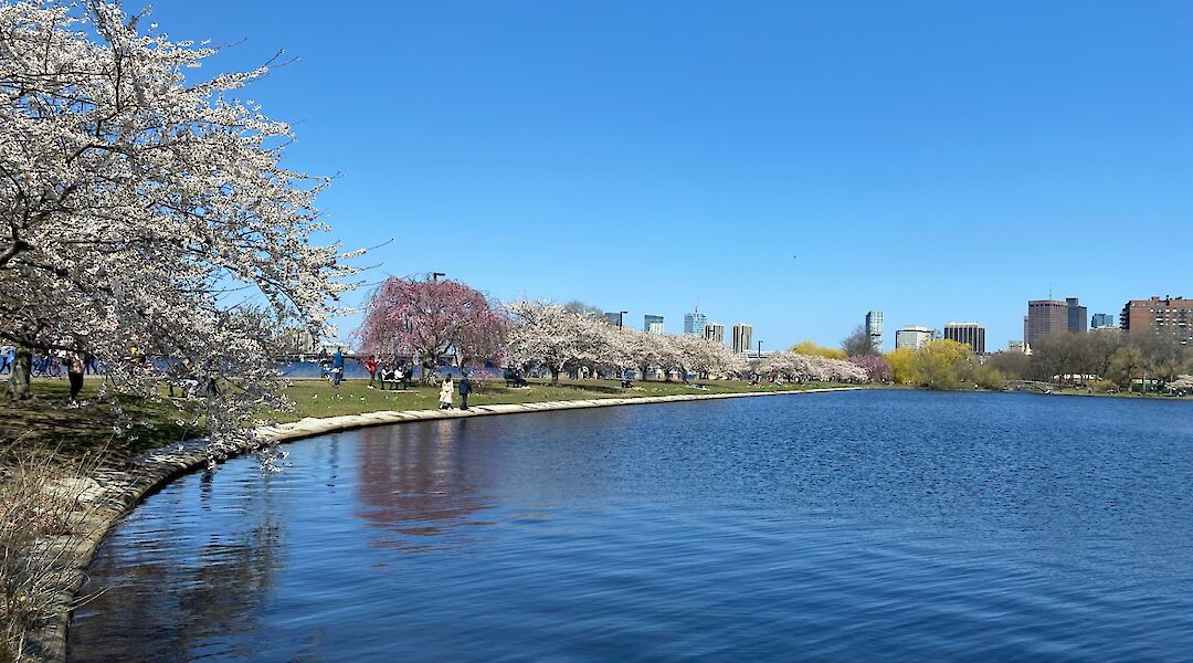Blue waters along the Charles River Esplanade, Boston, Massachusetts, USA. Lex Zhao@Unsplash
