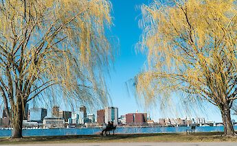 Skyline views along the Charles River Esplanade, Boston, Massachusetts, USA. Vanessa Sezini@Unsplash