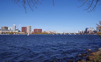 Views of Boston from the Charles River Esplanade, Massachusetts, USA. Satish Dharmavarapu@Unsplash