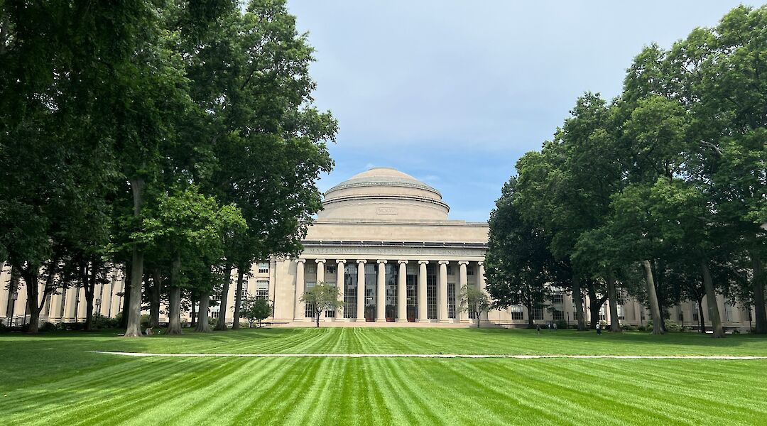 Trees and laws at MIT, Boston, Massachusetts, USA. William V@Unsplash