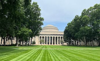 Trees and laws at MIT, Boston, Massachusetts, USA. William V@Unsplash