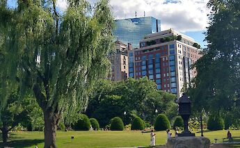 Boston Common, Massachusetts, USA. Ana Garnica@Unsplash