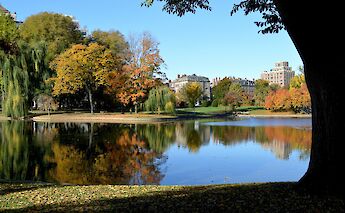 Boston Public Gardens in the fall, Massachusetts, USA. Daniel Bernal@Unsplash