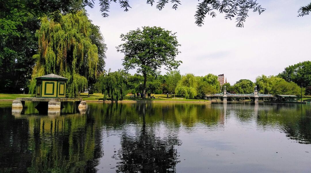 Lake in the Boston Public Gardens, Massachusetts, USA. Spyder Marketing Co@Unsplash