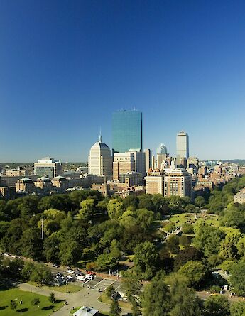 Greenery of Boston, Massachusetts, USA. Getty Images@Unsplash