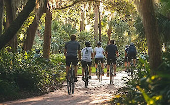 Bike tour through the trees, Orlando, Florida, USA. CC:TO