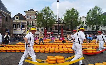 The famous Dutch cheese market in Alkmaar. TakWing@Flickr